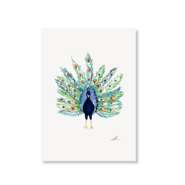 LAURIE DRAWS - ‘Peacock' Postcard