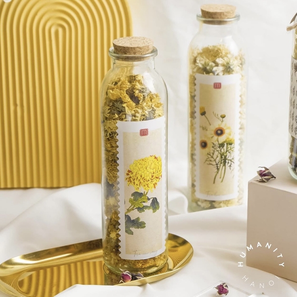 MỘC TRÀ - Chrysanthemum Tea