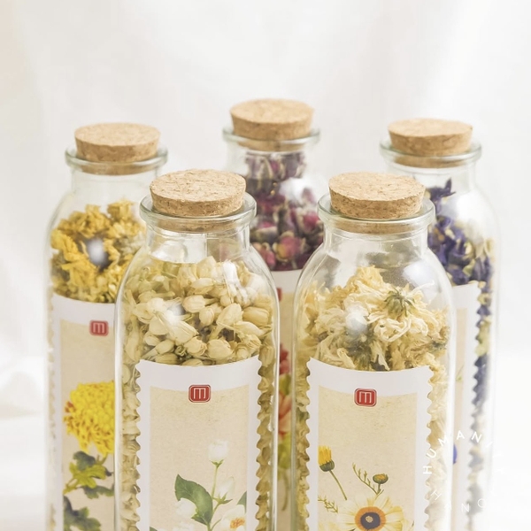 MỘC TRÀ - Chrysanthemum Tea