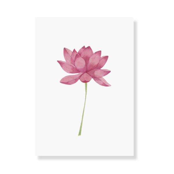 LAURIE DRAWS - ‘Lotus Flower No.02' Postcard