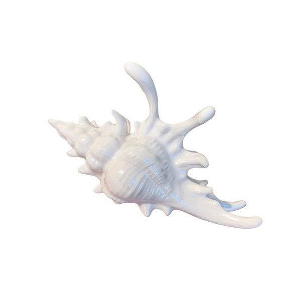 Hair Claw - Big Seashell in White