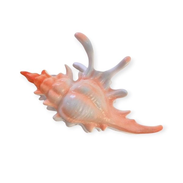 Hair Claw - Big Seashell in Salmon