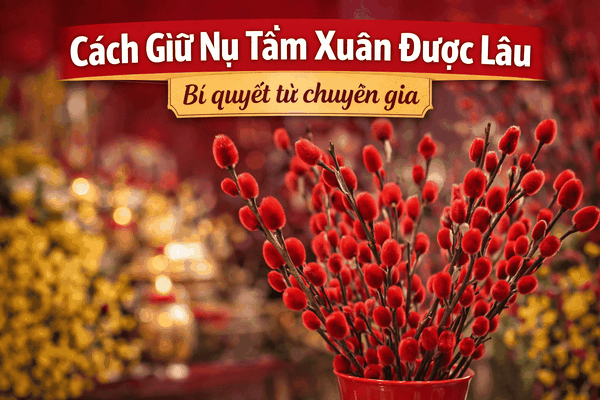 Cách Giữ Nụ Tầm Xuân Được Lâu: Bí Quyết Từ Chuyên Gia Để Rước Lộc Vào Nhà