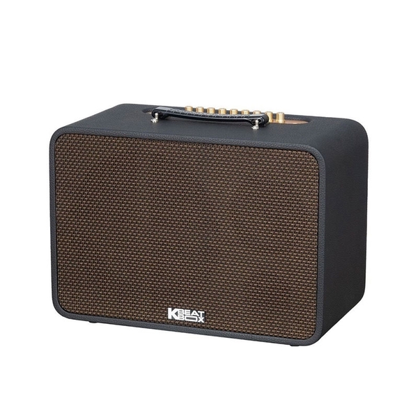 Loa Acnos CS250 Pro, Công suất 80W, Bluetooth 5.0, Kèm 2 mic
