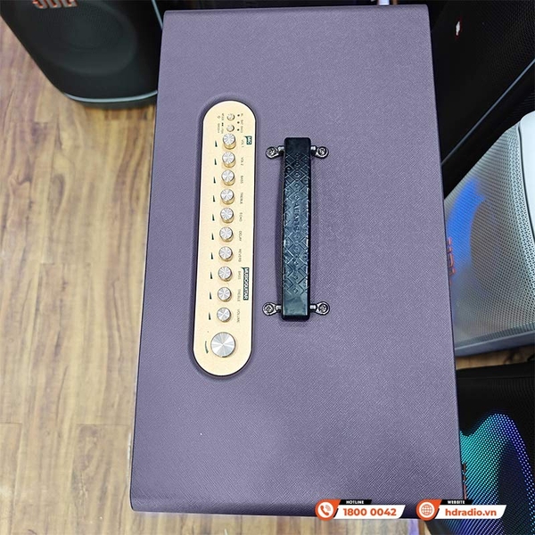 Loa Acnos Flac 36 Ver2, Bass 20cm, Công suất 200W, Bluetooth 5.0, Pin 4h-8h, Kèm 2 Tay Mic