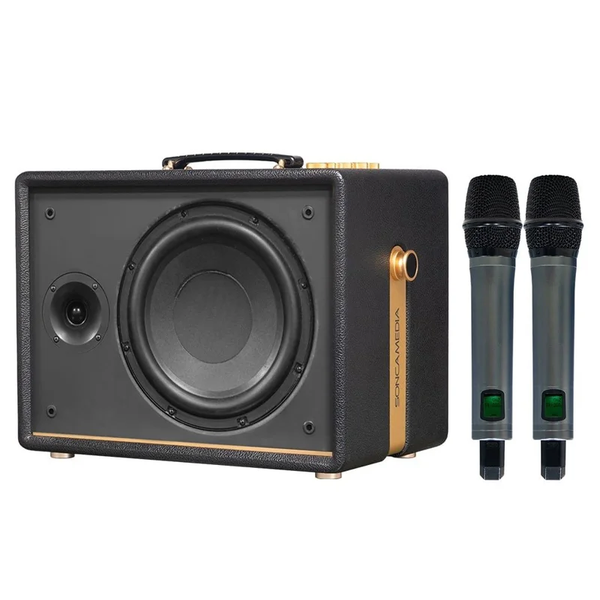 Loa Acnos D'Auris 200, Bass 25cm, Công suất 150W, Bluetooth 5.0, OTG (USB-C)