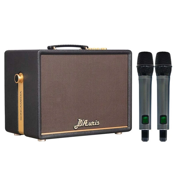 Loa Acnos D'Auris 200, Bass 25cm, Công suất 150W, Bluetooth 5.0, OTG (USB-C)
