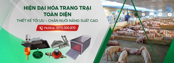 Thiết bị chăn nuôi Đườm Hà