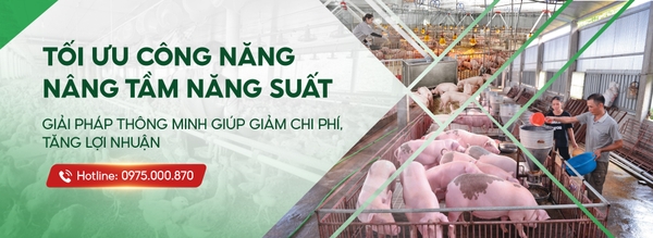 Thiết bị chăn nuôi Đườm Hà