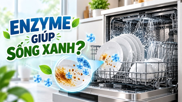 Tại sao enzyme có thể giúp giảm tác động đến môi trường?