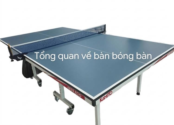 Hiểu tổng quan về bàn bóng bàn