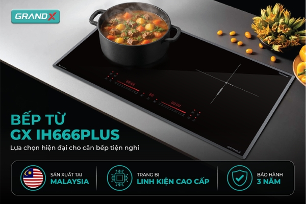 Bếp từ GX IH666Plus