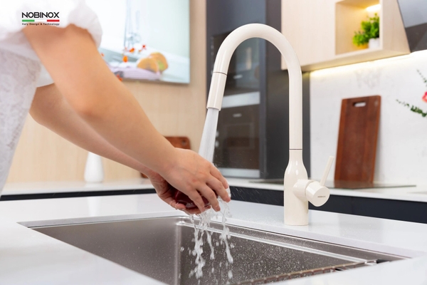 Vòi rửa bát dây rút Nobinox Aqua NX661B