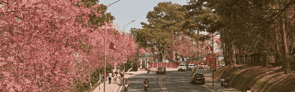 Banner-3