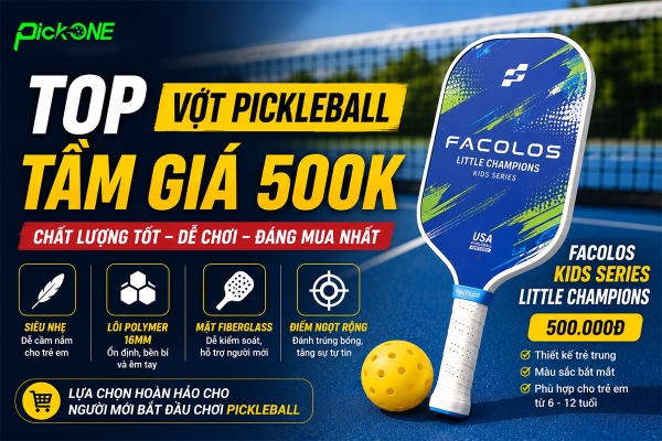 TOP 4 vợt Pickleball trong tầm giá 500k [2026]