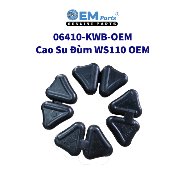 CAO SU ĐÙM WS110