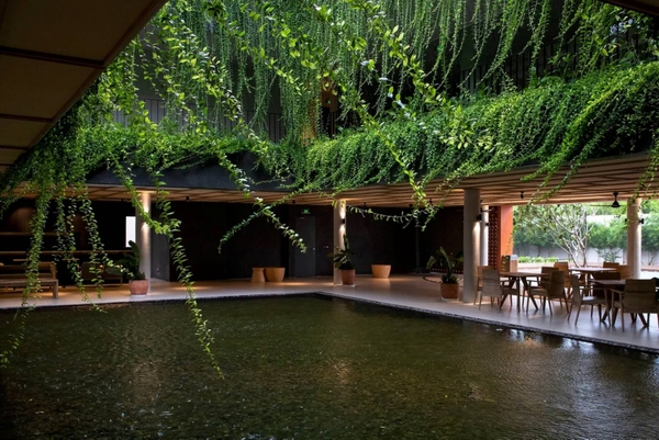Biophilic Design: Khi vật liệu tự nhiên trở thành trung tâm của không gian sống
