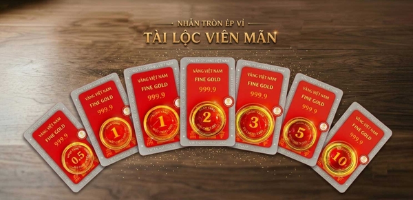 Công ty Cổ phần đầu tư và kinh doanh Vàng Việt Nam