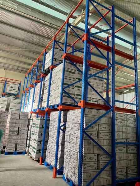Kệ Drivein , Kệ công nghiệp 2 tầng