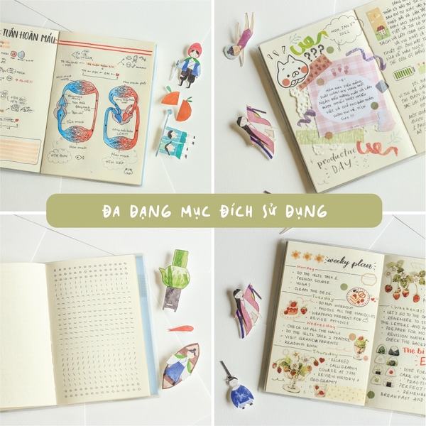 Sổ bìa nhựa Palette series A6 - 6 màu bìa- 2 kích thước - 4 loại ruột -16 postcards đi kèm