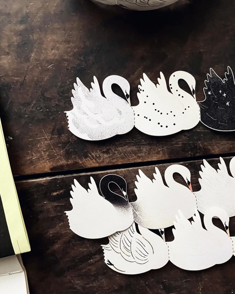 [Hội chợ Nhật 2026] Tổng hợp các mẫu Cygnet, Swan, From Water to Sky & M5 Paper – Fern