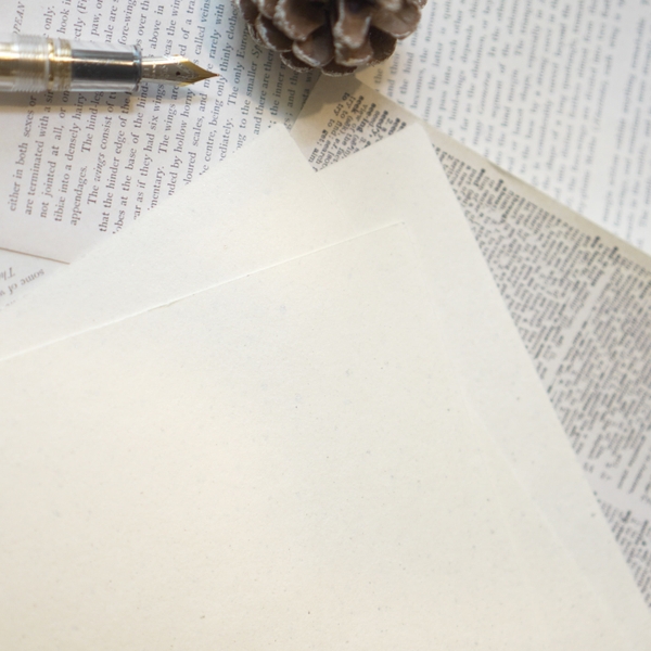 Giấy mỹ thuật Journal size A4 | Hãng Meraki
