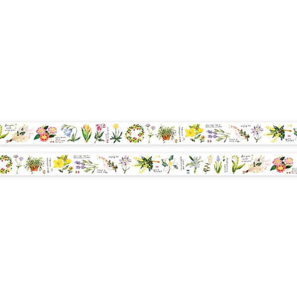 [2026] Các mẫu chiết PET Tape OURS | Chính hãng Đài Loan