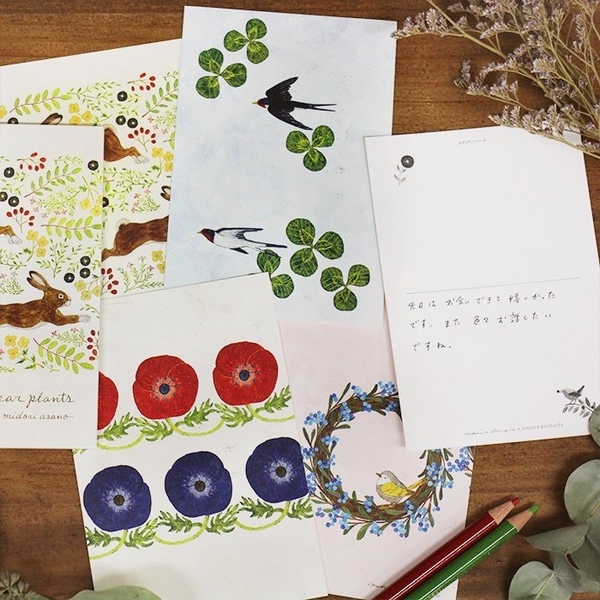 Set Postcard 10 tờ hãng Cozyca
