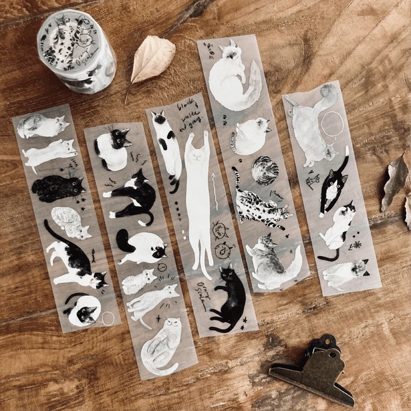 Chiết lẻ các mẫu PET tape shop pick up ở Taiwan và Malaysia