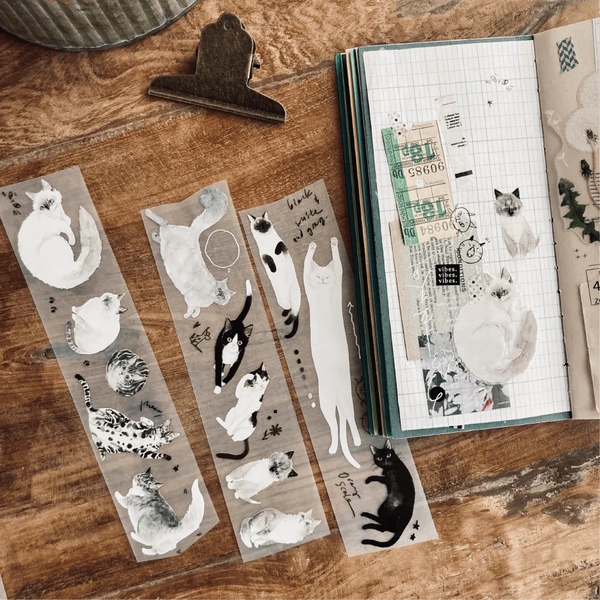 Chiết lẻ các mẫu PET tape shop pick up ở Taiwan và Malaysia