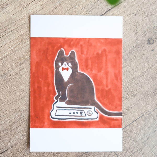 Postcard Neko | Adachi Miyuu