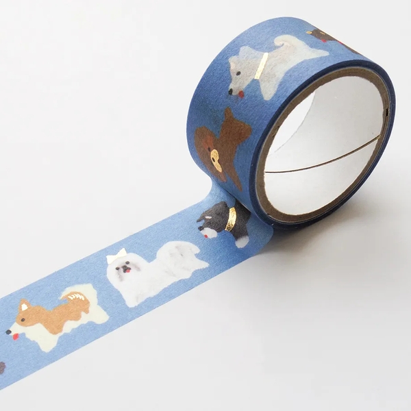 Chiết chu kì 1 m | Các mẫu washi nhũ hãng Cozyca Collection 2026 Summer