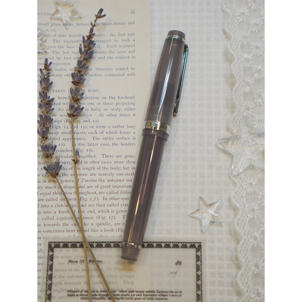 Bút máy hãng JINHAO + ngòi thay sẵn hãng Felicia | Ngòi EF hoặc F