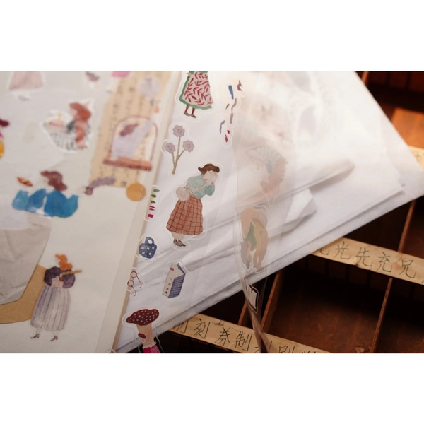 [2026] Các mẫu chiết PET tape hãng Ivy Snow Đài Loan I Nhập chính hãng