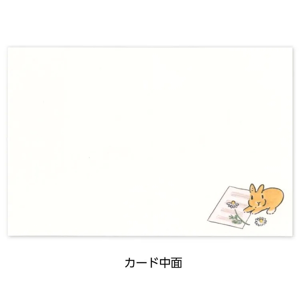 Các loại sách/ thiệp/ mini card chúc mừng sinh nhật | Hãng Tokoro Komugi Nhật Bản