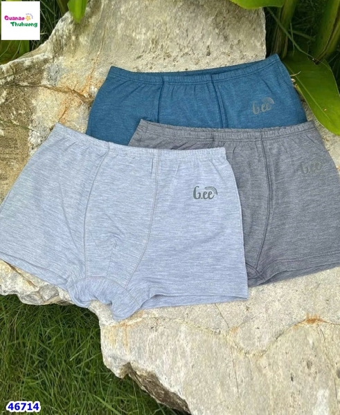 Set 3 quần chip Gee bé trai
