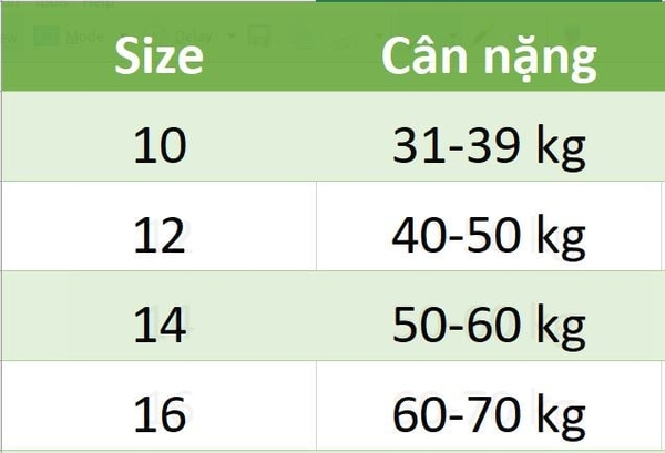 Set 3 quần chip Gee bé trai