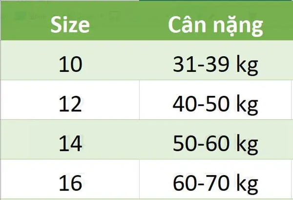 Set 3 quần chip Gee sọc