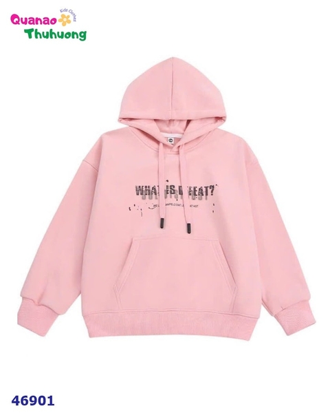 Hoodie hồng What is?