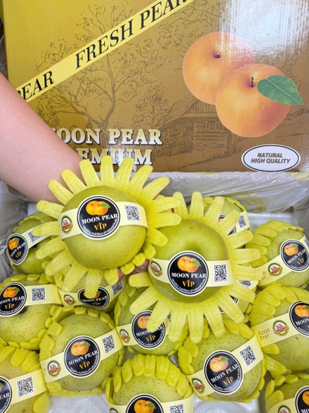 Lê sữa thùng vàng
