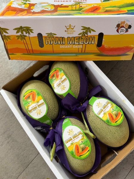 Dưa Đài Hami Melon