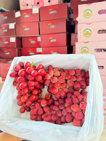Nho kẹo vải