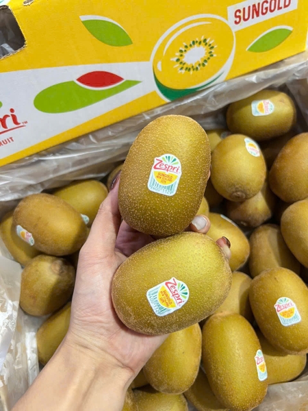 Kiwi vàng New Zealand