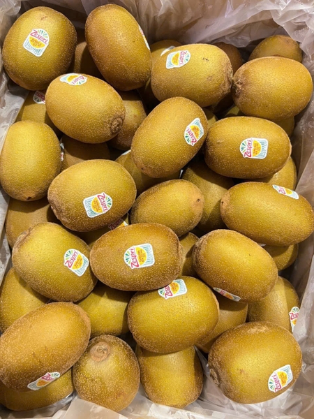 Kiwi vàng New Zealand