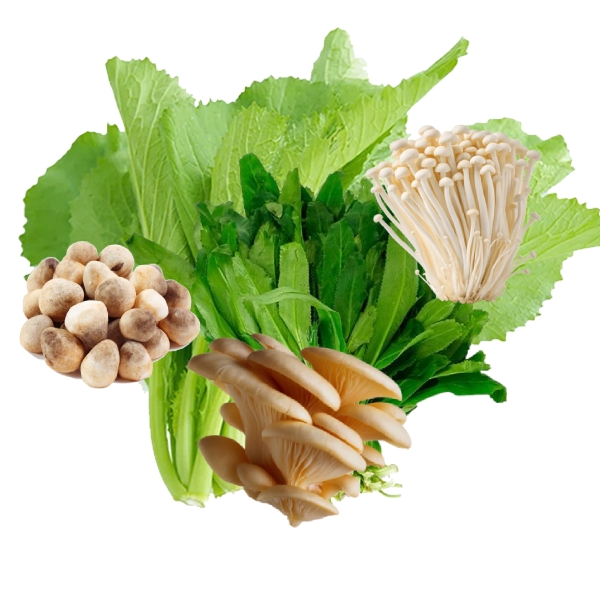 Combo lẩu mini