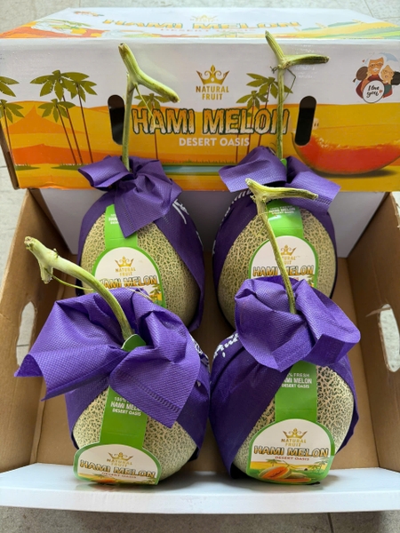 Dưa Đài Hami Melon