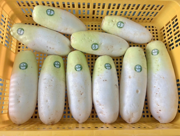 Sản phẩm mẫu 1