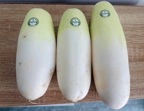 Sản phẩm mẫu 1