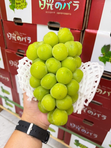 Nho sữa 2 chùm thùng đỏ