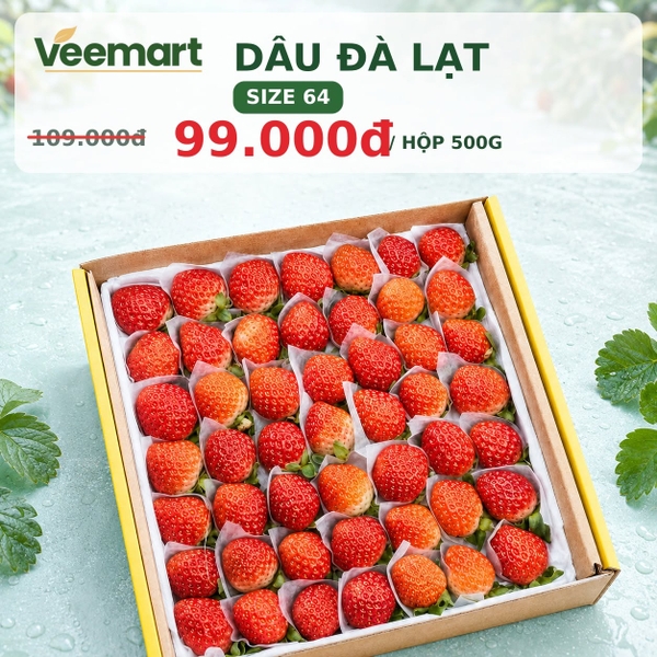 Dâu tây Đà Lạt size 64 hộp 500g